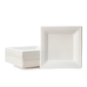 10" Bagasse Square Plates (Qty 250) - Image 2