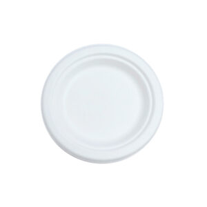 6" Round Bagasse  Plates (Qty 500)