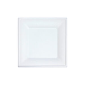 8" Square Bagasse Plates (Qty 500)